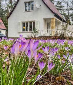 Weisser Hirsch House | Ferienhaus am weißen Adler