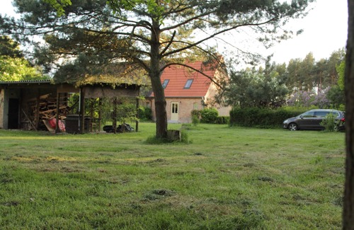 Muritz Apartment | Ferienhaus Amalienhof mit 3 SZ und 2 Bädern - Amalienhof 10