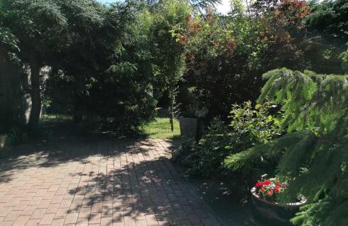 Muritz House | Ferienhaus "Peter" Objekt ID 12075-0