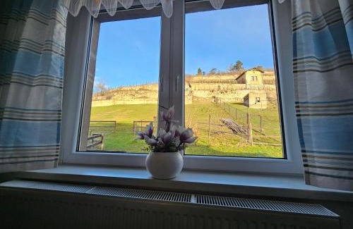 Freyburg Apartment | Ferienhaus und Straußwirtschaft im Weinberg