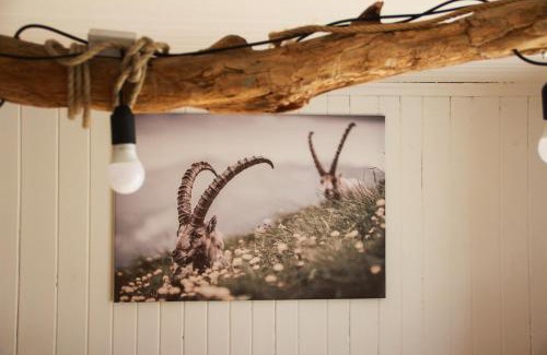 Buers House | Ferienhaus zum Klettersteig - Kletterwand, Abstellraum für Ski oder Bikes, Sauna, Kellerbar,