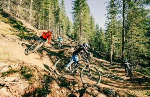Wald Hotel | Ferienhotel Bergland