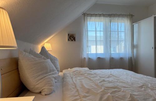 Zempin Apartment | Ferienidyll Bartling Haus Vineta WG 5 im alten Ortskern, modern, gemütlich