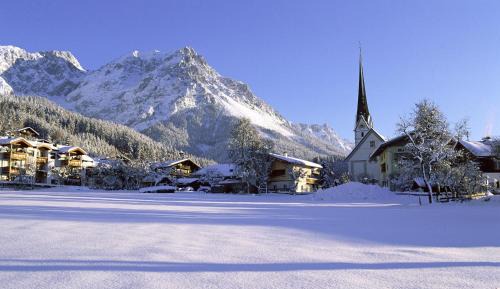 Scheffau am Wilden Kaiser Apartment | Ferienwohnung Steiner in Scheffau