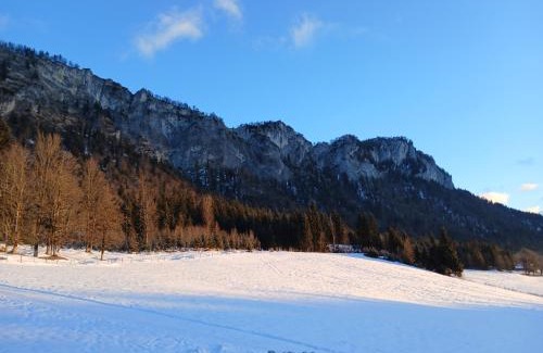 Sankt Johann in Tirol Apartment | Ferienwohnung Maurerhof