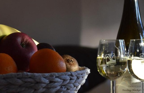 Upper Middle Rhine Valley Apartment | Ferienwohnung 554 - Urbar, vis-à-vis der Loreley
