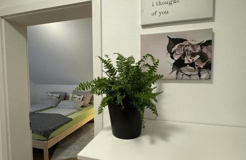 Ahr - Middle Rhine Apartment | Ferienwohnung Auf Der Höll