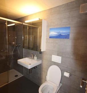 Savognin Apartment | Ferienwohnung Aviez Savognin