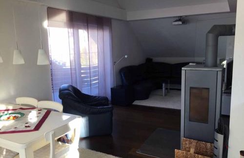 Seidmannsdorf Apartment | Ferienwohnung Buchbergblick
