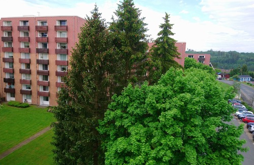 Altenau Apartment | Ferienwohnung Familie Eulenstein