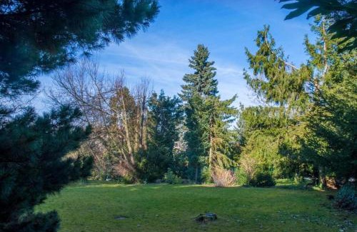 Goslar Old Town Apartment | Ferienwohnung Graul