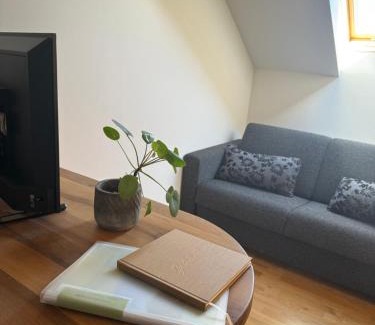 Thannhausen Apartment | Ferienwohnung Harrer