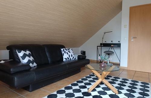 Kostheim Apartment | Ferienwohnung Mainzelmännchen