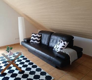 Kostheim Apartment | Ferienwohnung Mainzelmännchen