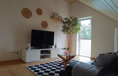 Kostheim Apartment | Ferienwohnung Mainzelmännchen