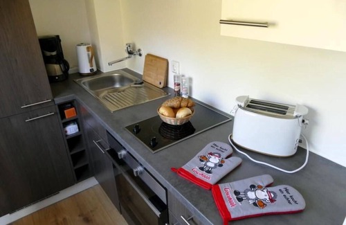 Geyersberg Apartment | Ferienwohnung N 170 mit Balkon