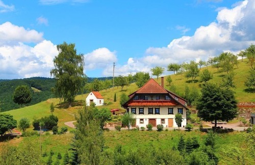 Oberharmersbach Apartment | Ferienwohnung Panoramablick