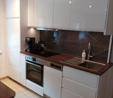 Sankt Leonhard im Pitztal Apartment | Ferienwohnung Rimml