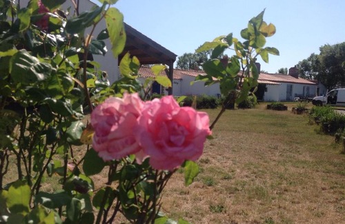 Bouin Bed & Breakfast | Ferme Auberge L'Ile Sauvage