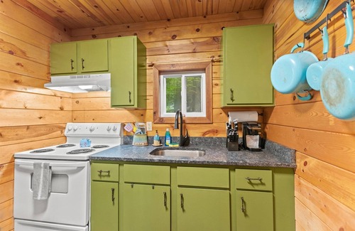 Saint Helens Cabin | Fern Gulley Cabin with Hot Tub, Pet Friendly, near DBBB/Hollerwood