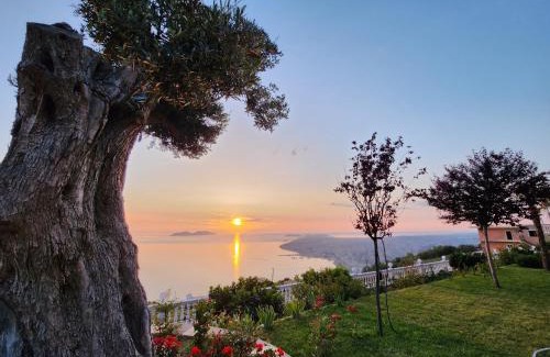 Vlore County Hotel | Festim Villa Hotel