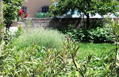 Gols Apartment | Fewo 2 Weinblüte - Ferienhof Weingut Lunzer