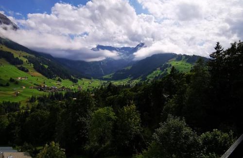 Adelboden Apartment | FeWo Fernsicht Crystal