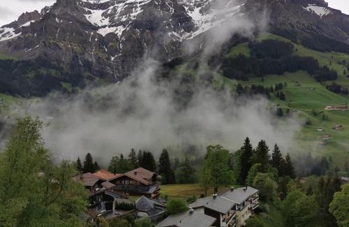 Adelboden Apartment | FeWo Fernsicht Crystal