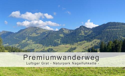 Thalkirchdorf Apartment | FeWo Fräulein-Fink - Alpsee 5 Min - neue großzügige Südterrasse mit Garten - gratis WLAN - Waschmaschine - Garage