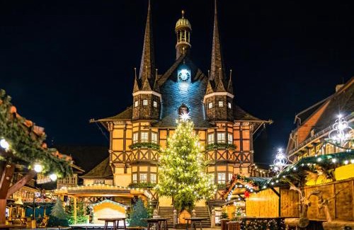 Wernigerode Apartment | FeWo gemütliche Residenz mit Holzofen-Sauna von Harztraveler