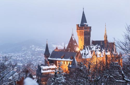 Wernigerode Apartment | FeWo gemütliche Residenz mit Holzofen-Sauna von Harztraveler