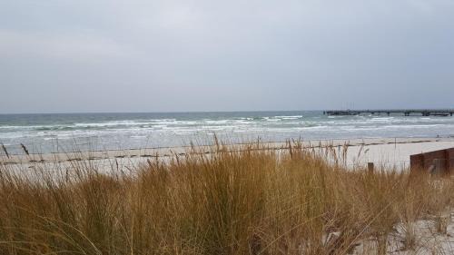 Timmendorfer Strand Apartment | FeWo Machedanz zentrumsnah & ruhig Timmendorfer Strand