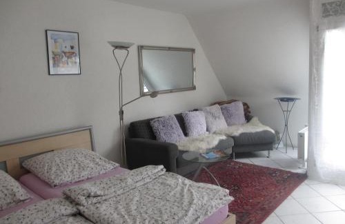 Old Town Apartment | FeWo - Mitten In Freiburg
