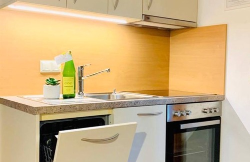 Klopein Apartment | Fewo "schau zum See" Komfort Nr. 3 - Ferienwohnungen Lipnik