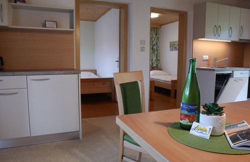 Klopein Apartment | Fewo "schau zum See" Komfort Nr. 3 - Ferienwohnungen Lipnik