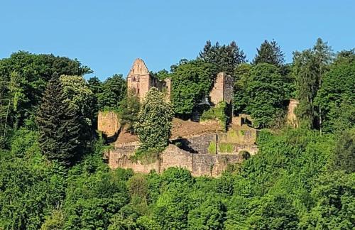 Waldbrunn Apartment | Fewo Waldtherme Relaxen, wandern, Radfahren