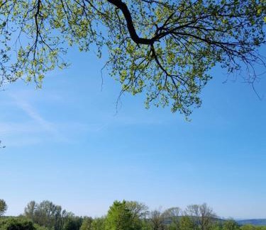Waldbrunn Apartment | Fewo Waldtherme Relaxen, wandern, Radfahren