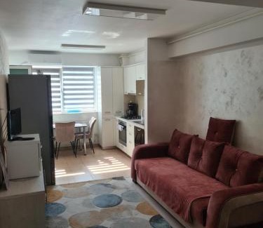 Bacau Apartment | Fiald-Apartament Nou