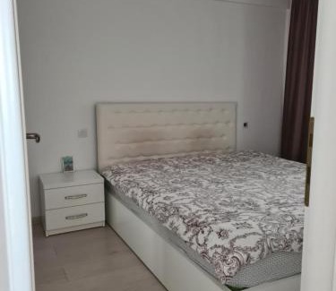 Bacau Apartment | Fiald-Apartament Nou
