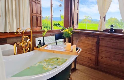 Rim Nuea House | Fieldlight Pool Villa -Rice View &private pool云上稻影