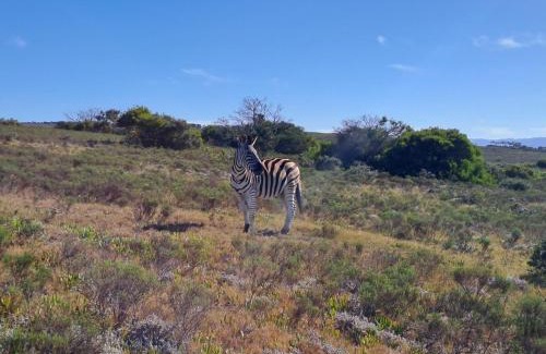 Kouga House | Fijnbosch Game Lodge Jeffreys Bay
