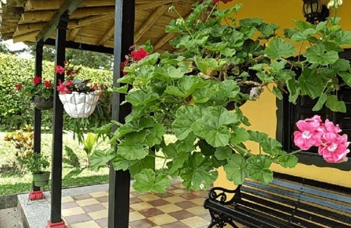 Filandia House | Finca cafetera para tu descanso-Finlandia Quindio