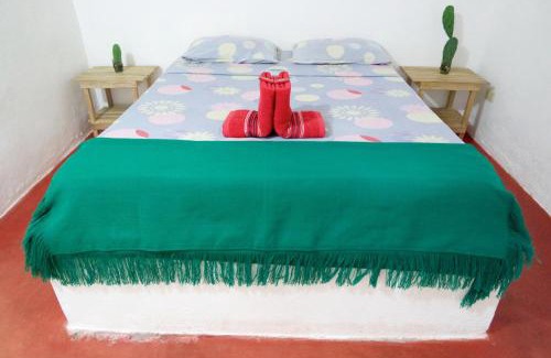 Santa Marta Hostel | Finca Carpe Diem Ecolodge
