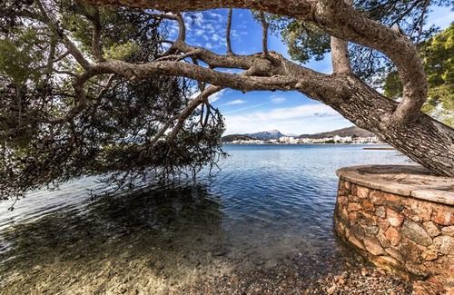 Arta Villa | Finca Colonia de Sant Pere