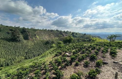 Circasia House | Finca Jamaica