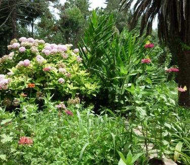 San Salvador de Jujuy Cabin | Finca La Colorada