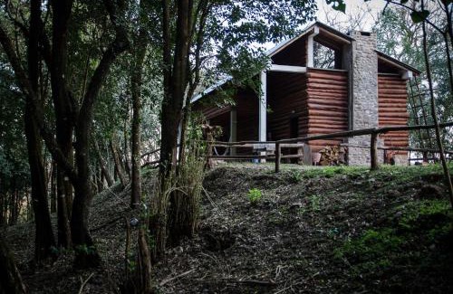 San Salvador de Jujuy Cabin | Finca La Colorada