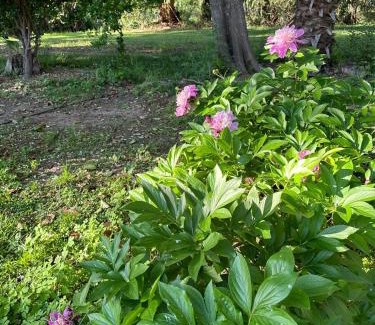 Junin Department House | Finca Los Franciscos