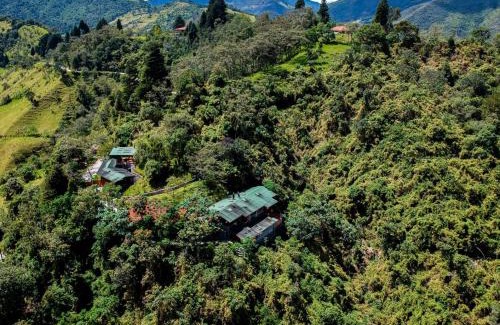 Yunguilla Bed & Breakfast | Finca Petrona