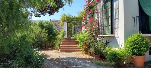 Malaga-Este House | Finca Santa Matilde Málaga